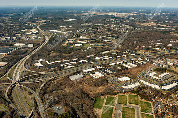 forest-point-011312-a-8136