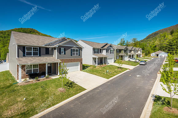151-switchgrass-ext8428