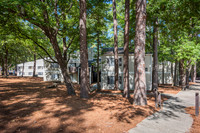 100-fairforest-ext3072