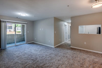 126-northwoods-int6498