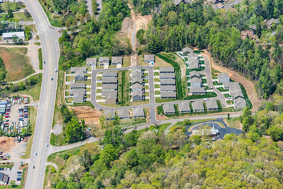 151-switchgrass-air5318
