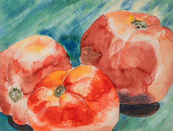 tomatoes-ii377