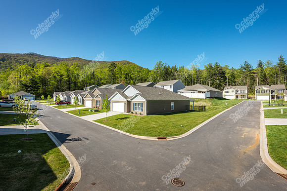 151-switchgrass-ext9116