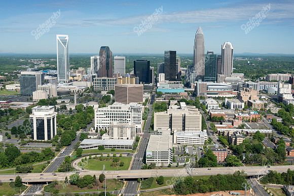 charlotte-cbd-h-0741