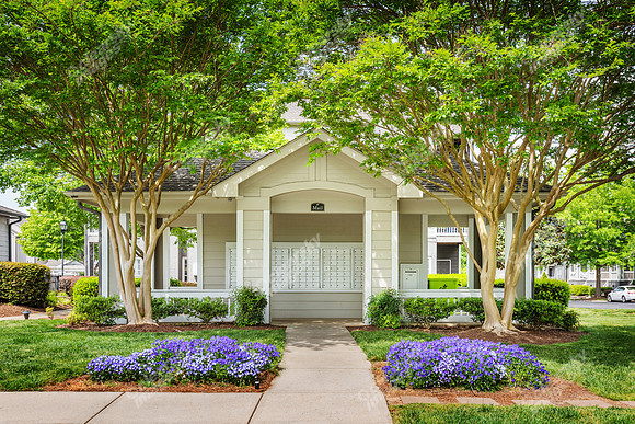 240-ivy-meadow-ext9859