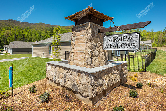 151-switchgrass-ext8527
