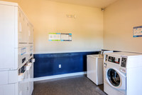 1500-s-oak-int6217
