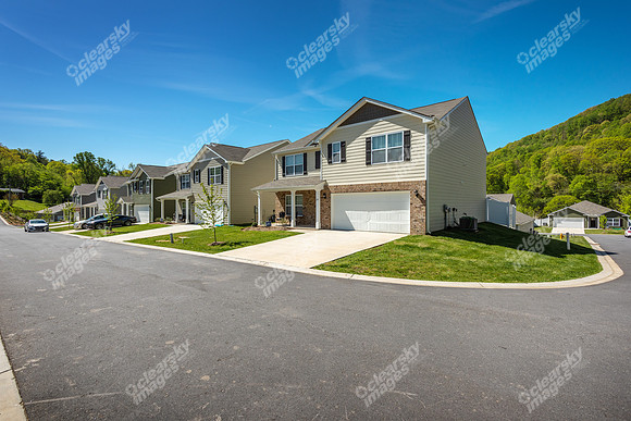 151-switchgrass-ext8446