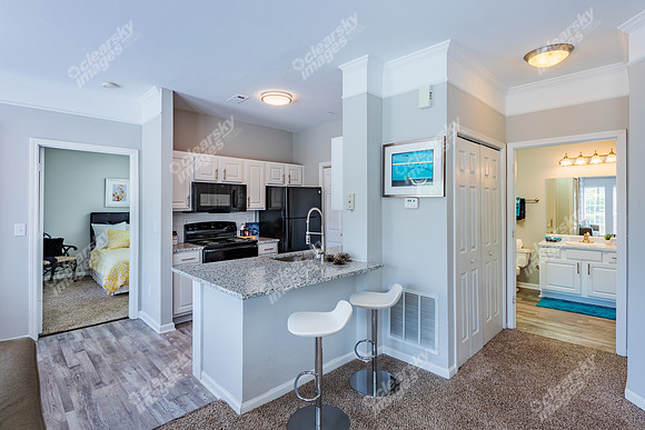 412-woods-lake-int1801