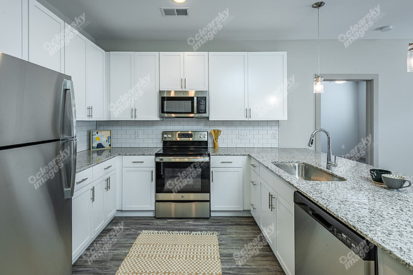 1172-st-marks-int7953