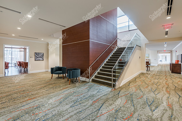 cardinal-north-hills-int-0959