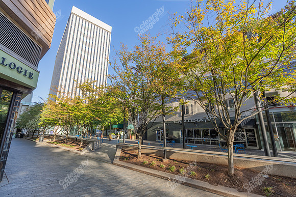 101-n-main-ext6343