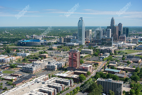 charlotte-cbd-h-0722