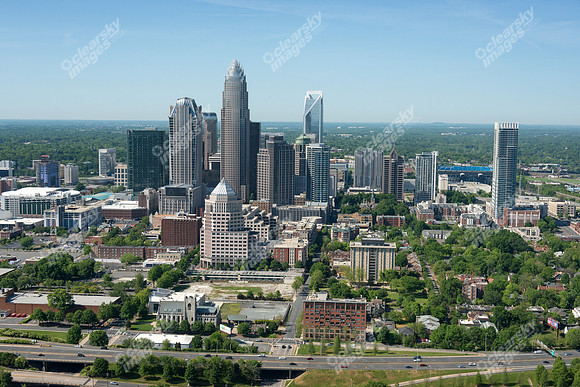 charlotte-cbd-h-0763