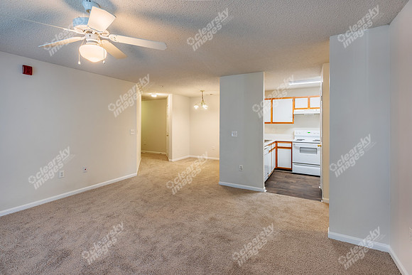 1500-s-oak-int6282