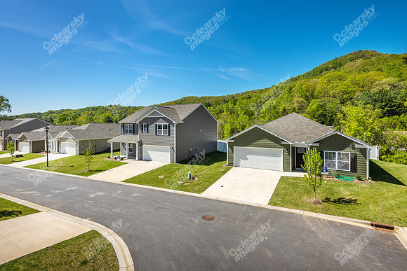 151-switchgrass-ext8485