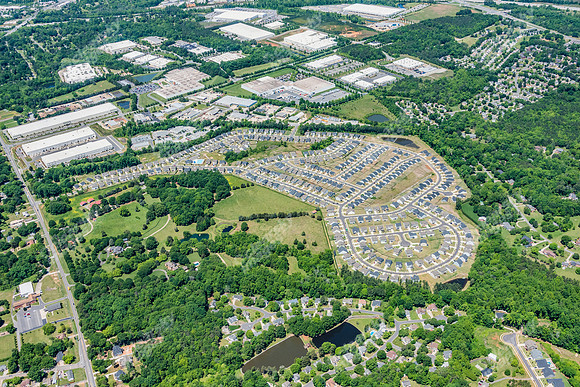 hunton-forest-apr-2023-prog9653