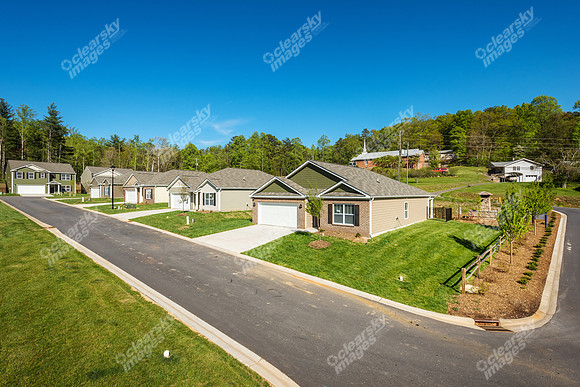 151-switchgrass-ext9104