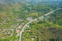 151-switchgrass-air5246