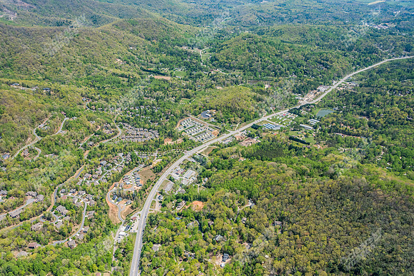 151-switchgrass-air5246