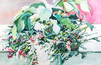christmas-cactus-3229