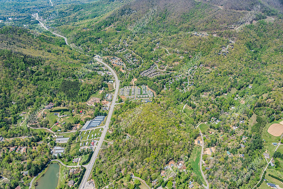 151-switchgrass-air5315