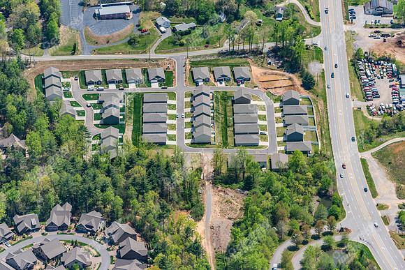 151-switchgrass-air5262