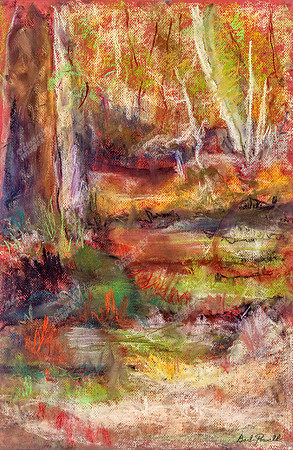 into-the-woods-7194