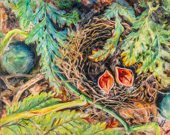 hungry-birds-6325