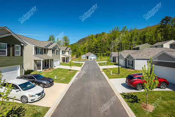 151-switchgrass-ext8440