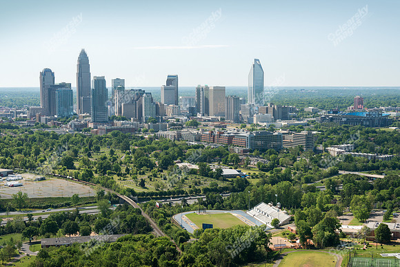charlotte-cbd-h-0712