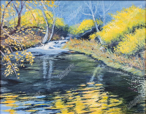 trout-waters813