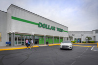 1450-dogwood-tri1615