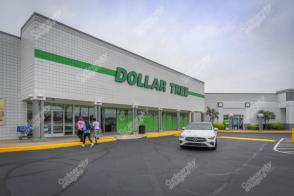 1450-dogwood-tri1615