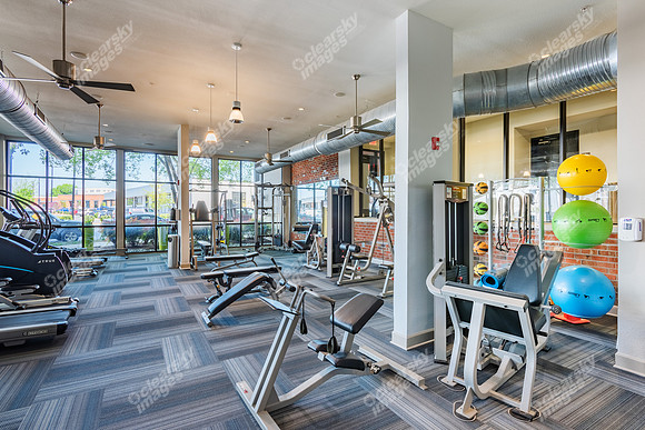 2225-hawkins-int7598