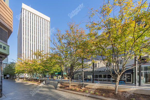101-n-main-ext6343B