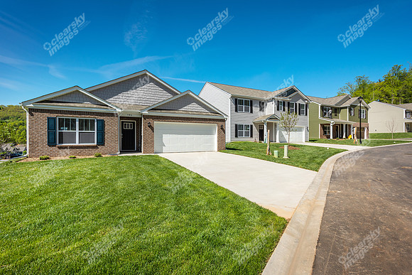 151-switchgrass-ext8326