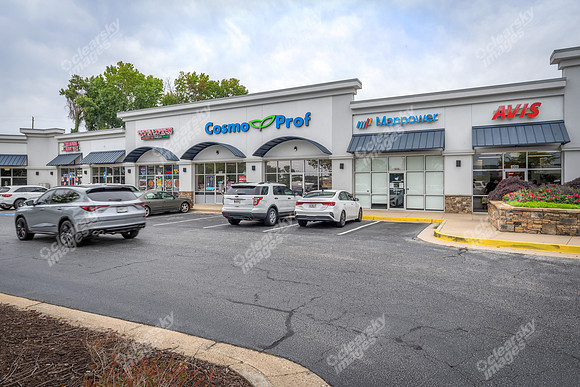 1450-dogwood-tri2491