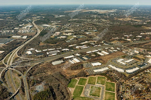 forest-point-011312-a-8139