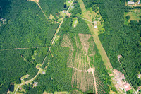 2023-07 Carpenter Pond