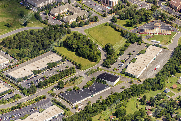 forest-park-air-4758