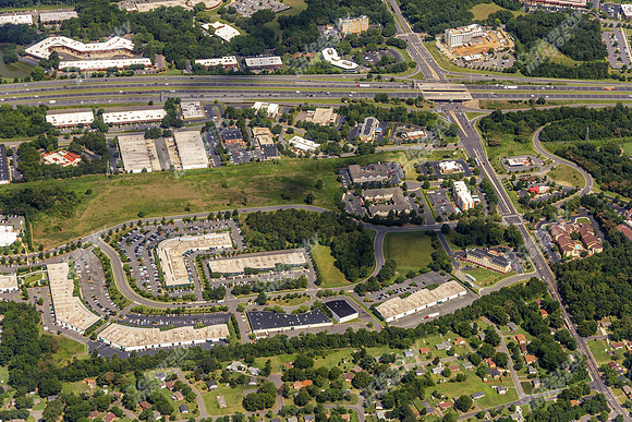 forest-park-air-4768