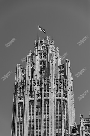 chicago-2015-4749