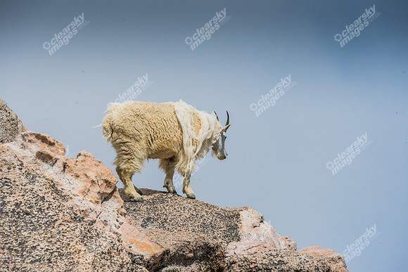 colorado-2518
