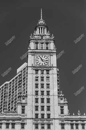 chicago-2015-4746