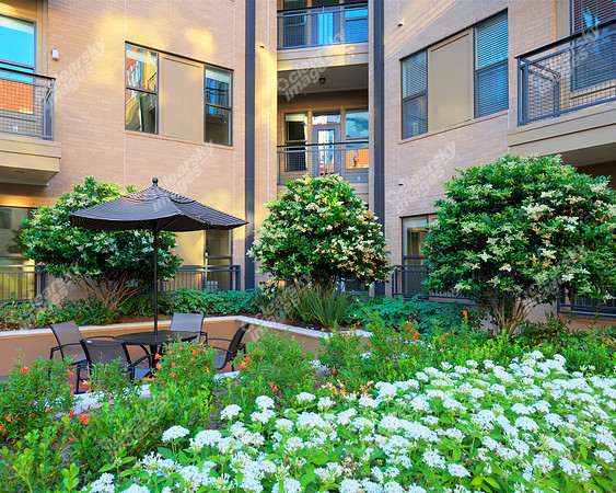 2121-mid-lane-apts-7756
