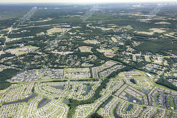 waterleaf-palmetto-air-0224