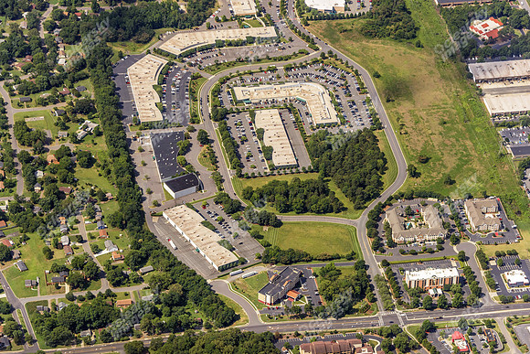 forest-park-air-4783