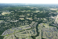 waterleaf-palmetto-air-0218