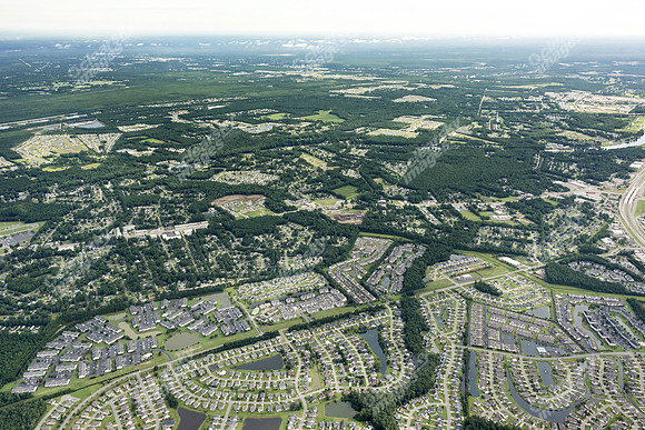 waterleaf-palmetto-air-0218